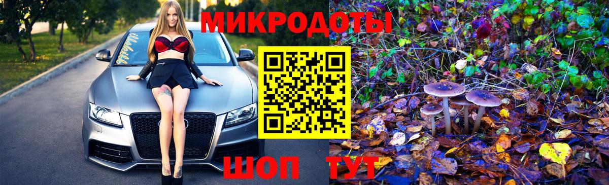 Галлюциногенные грибы Cubensis Моздок