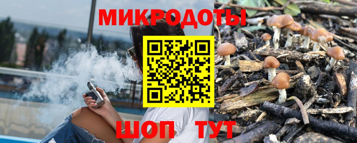 Моздок  Галлюциногенные грибы Cubensis  Псилоцибиновые грибы Cubensis  купить наркотики цена  Вход с VPN 